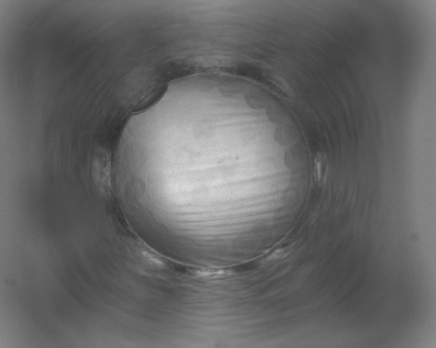 X0000054361251200508121505