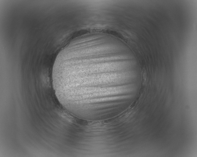 X0000054361252200508121505