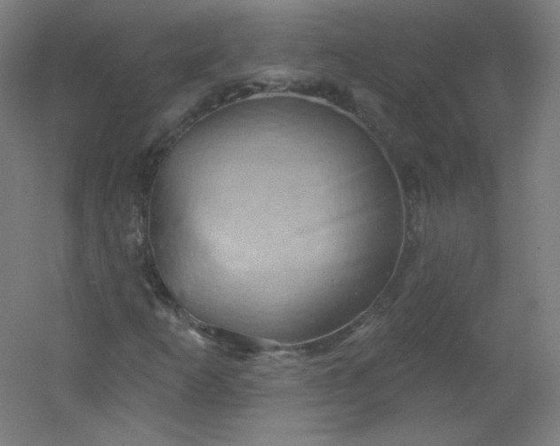 X0000054361253200508121505