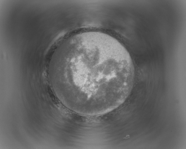 X0000054361254200508121505