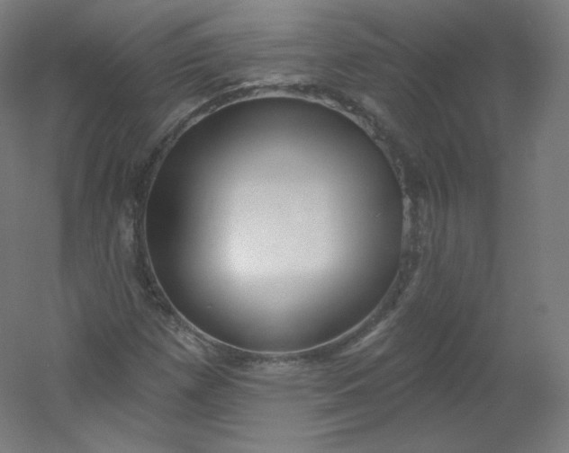 X0000054361257200508121505