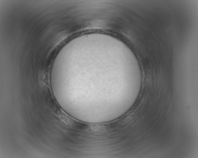 X0000054361258200508121505