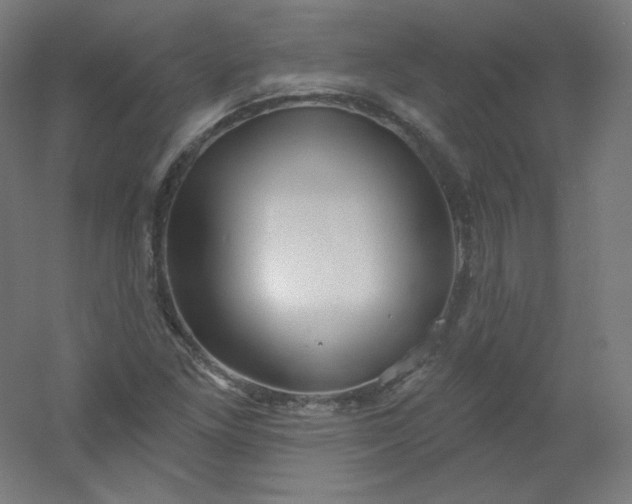 X0000054361261200508121505