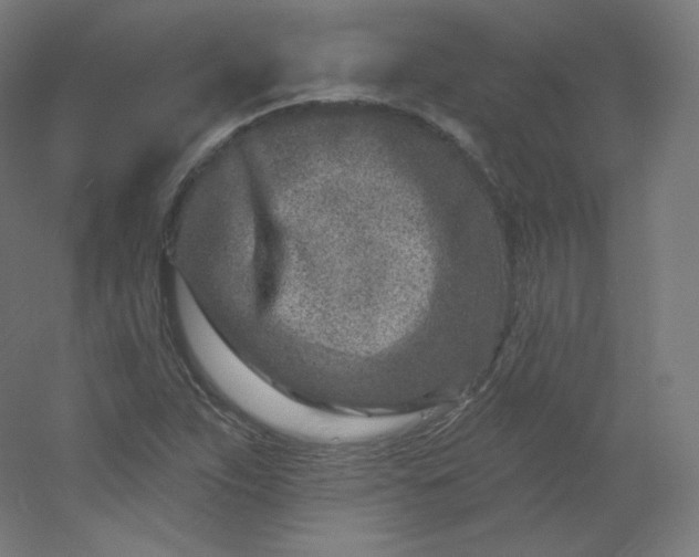 X0000054361263200508121505