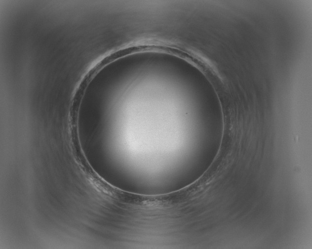 X0000054361264200508121505