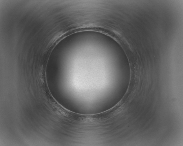 X0000054361265200508121505