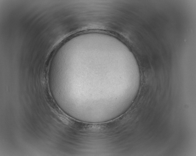 X0000054361266200508121505