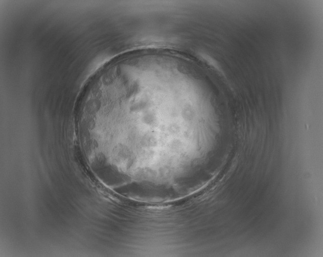 X0000054361267200508121504