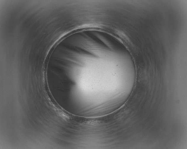 X0000054361268200508121504
