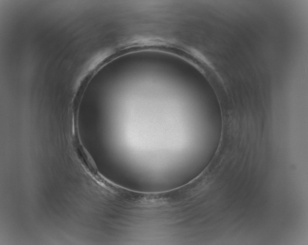 X0000054361269200508121504