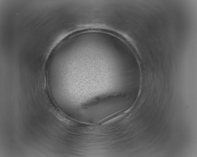 X0000054361271200508121504