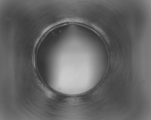 X0000054361272200508121504