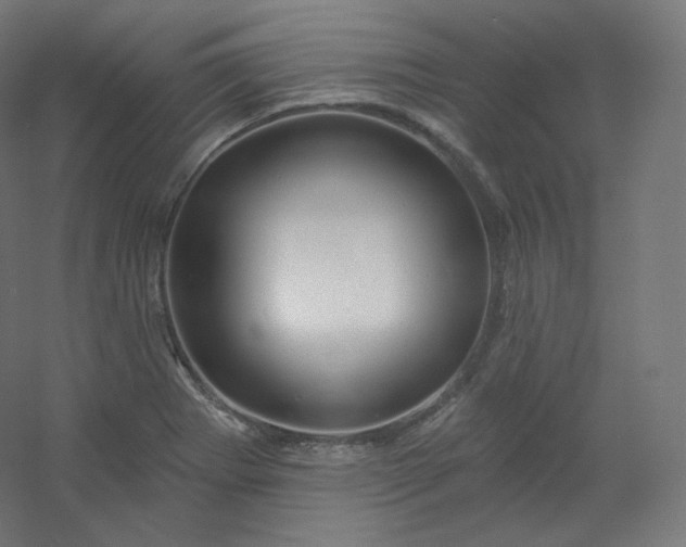 X0000054361273200508121504