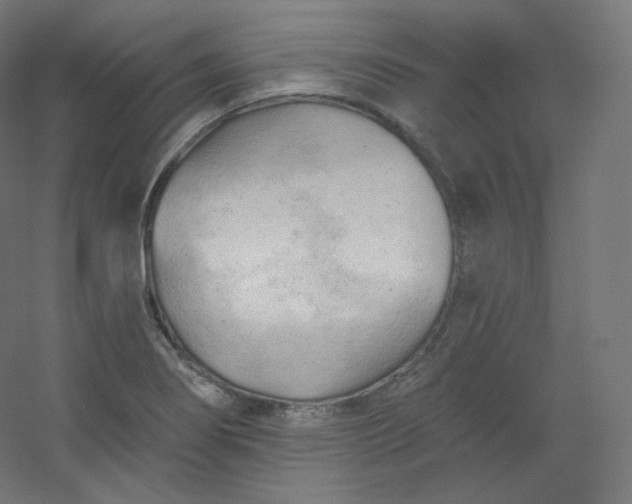 X0000054361274200508121504