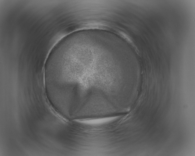 X0000054361275200508121504