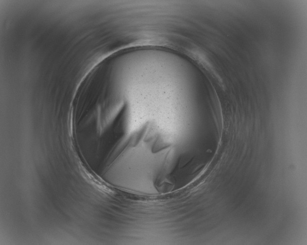 X0000054361276200508121504