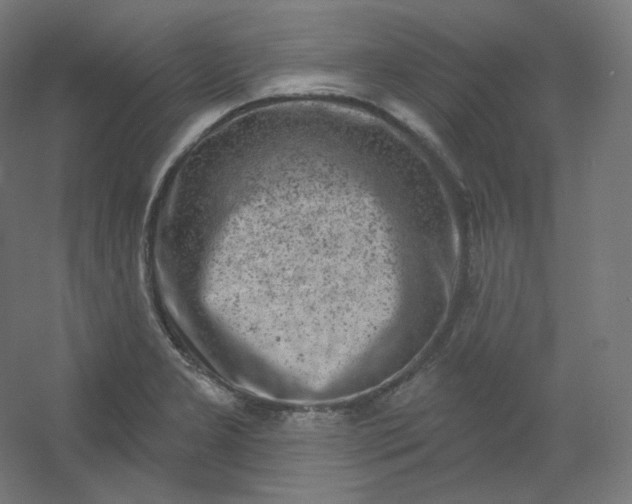 X0000054361277200508121504