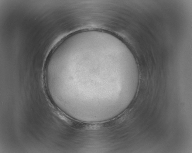 X0000054361278200508121504