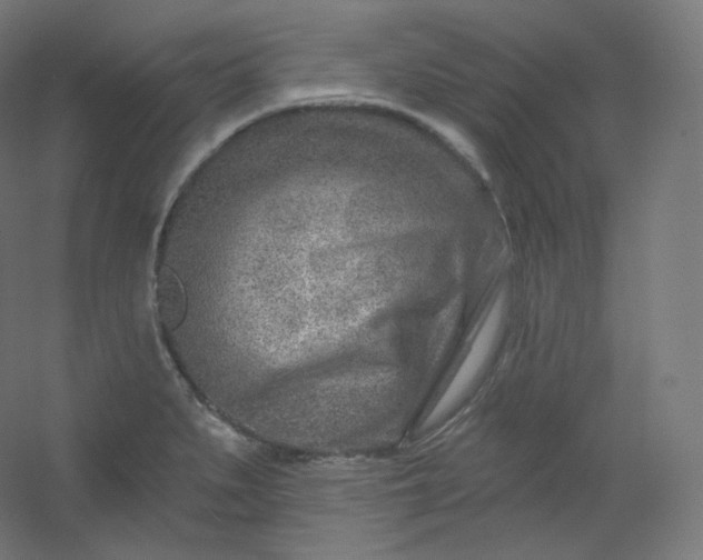 X0000054361279200508121504