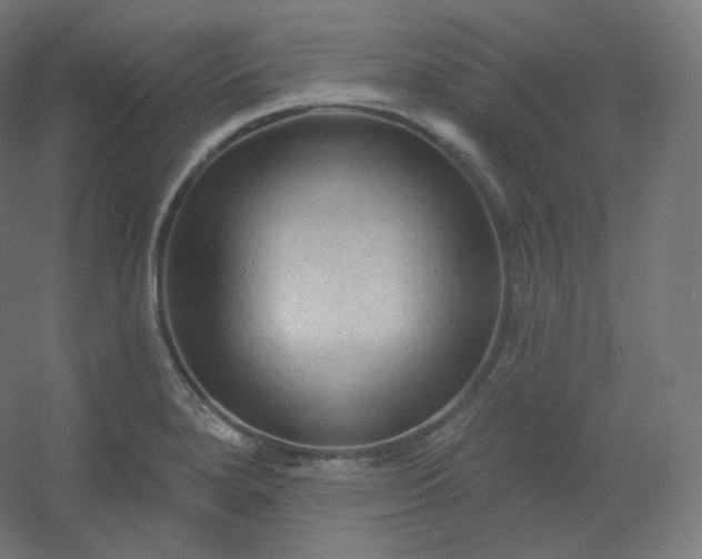 X0000054361280200508121504