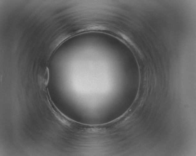 X0000054361281200508121504