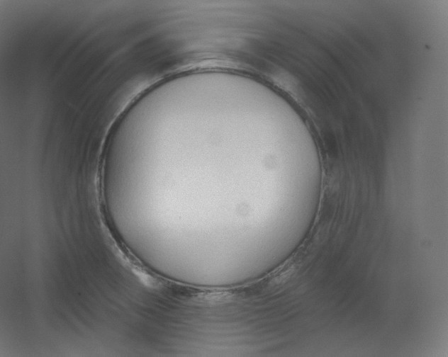 X0000054361282200508121504