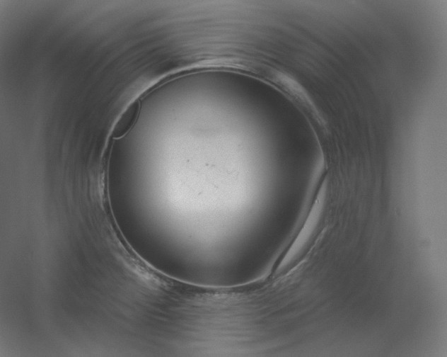 X0000054361284200508121504