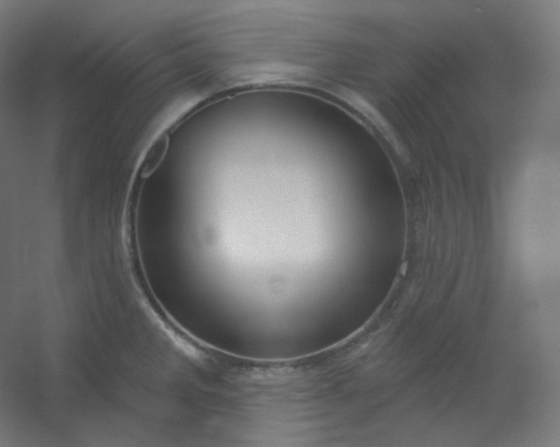 X0000054361285200508121504