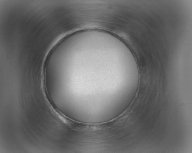 X0000054361286200508121504