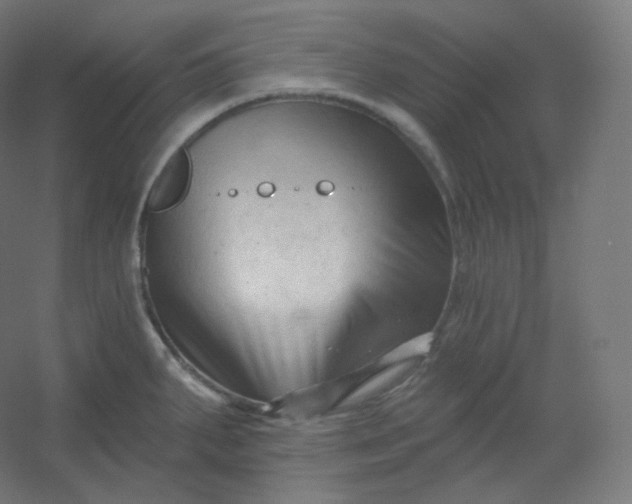 X0000054361287200508121504