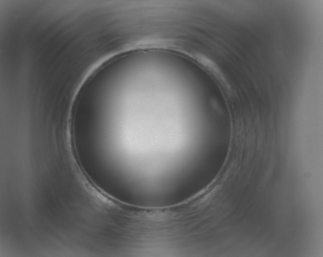X0000054361288200508121504