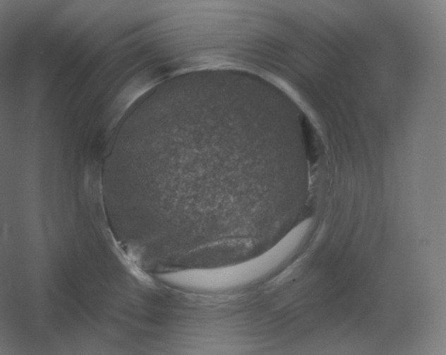 X0000054361289200508121504