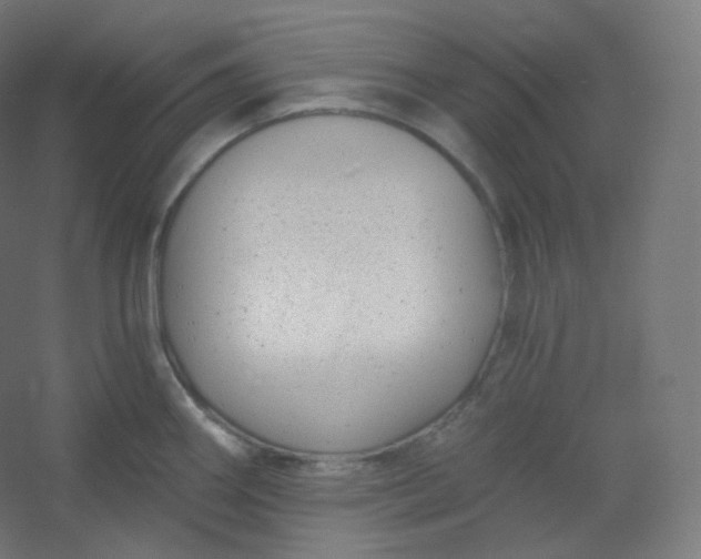 X0000054361290200508121504
