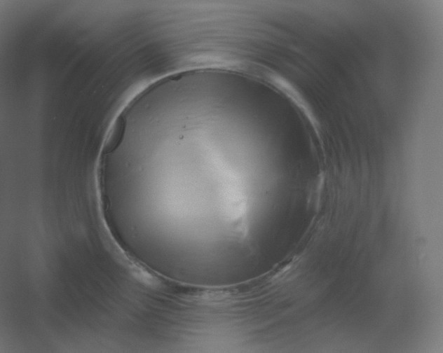 X0000054361291200508121504