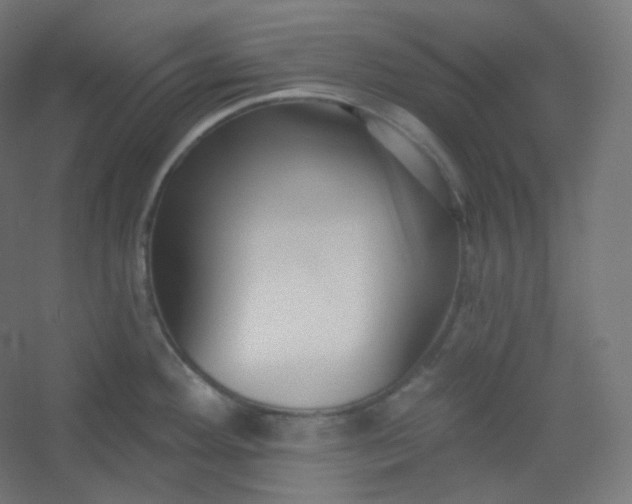 X0000054361292200508121504