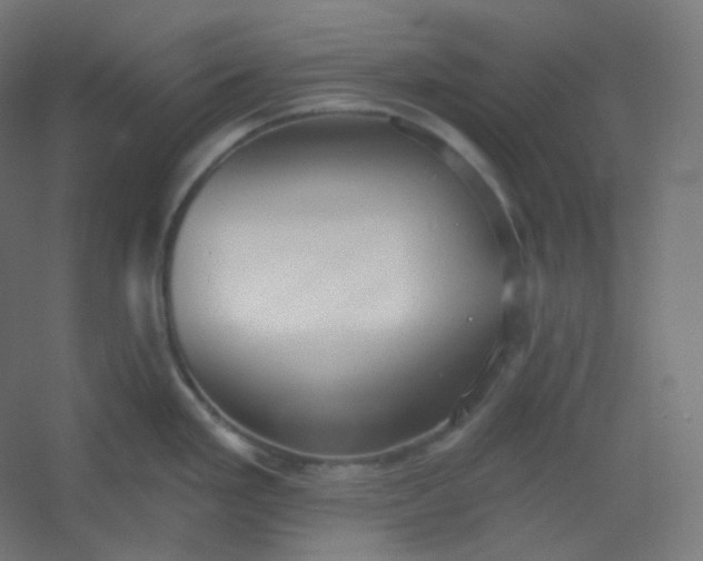 X0000054361293200508121504