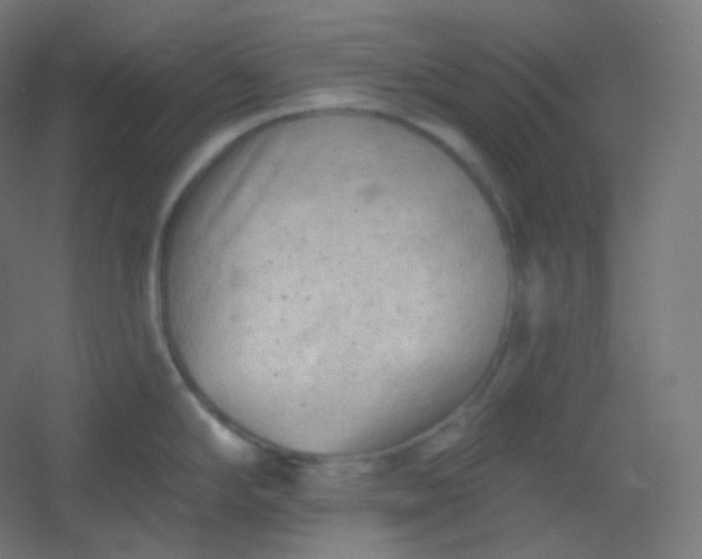 X0000054361294200508121504