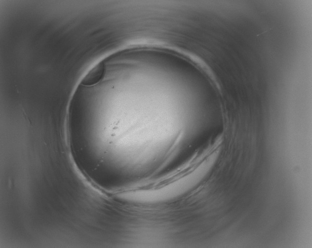 X0000054361295200508121504