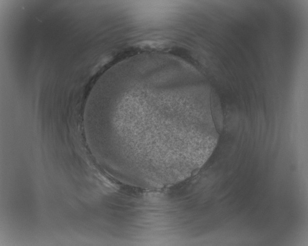 X0000054361297200508121503