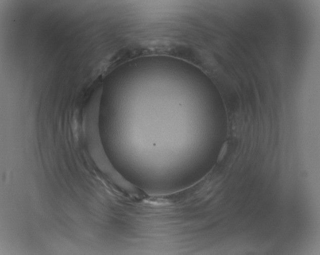 X0000054361298200508121503
