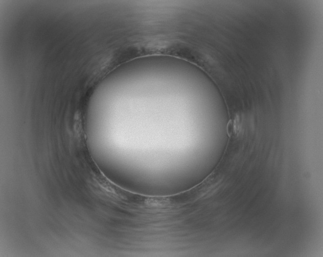 X0000054361299200508121503
