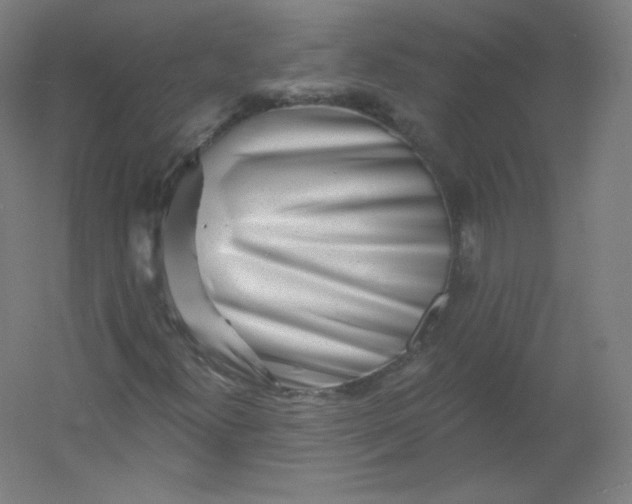 X0000054361300200508121503