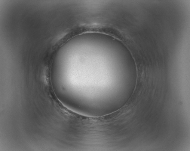 X0000054361301200508121503
