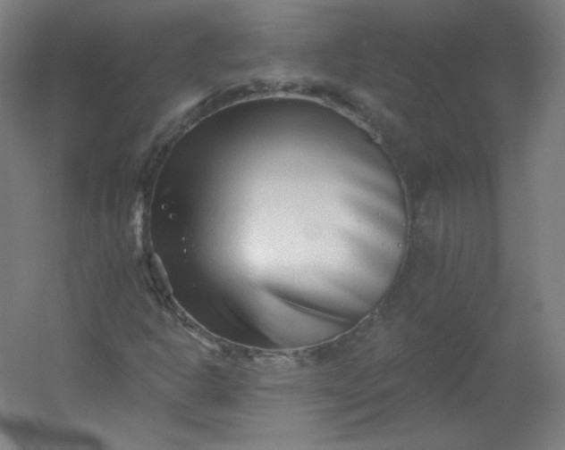 X0000054361302200508121503