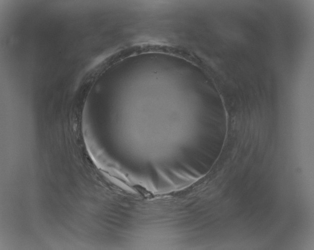 X0000054361303200508121503