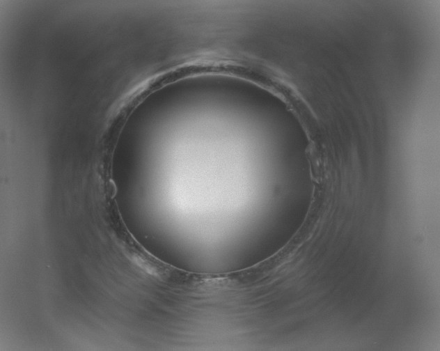 X0000054361304200508121503
