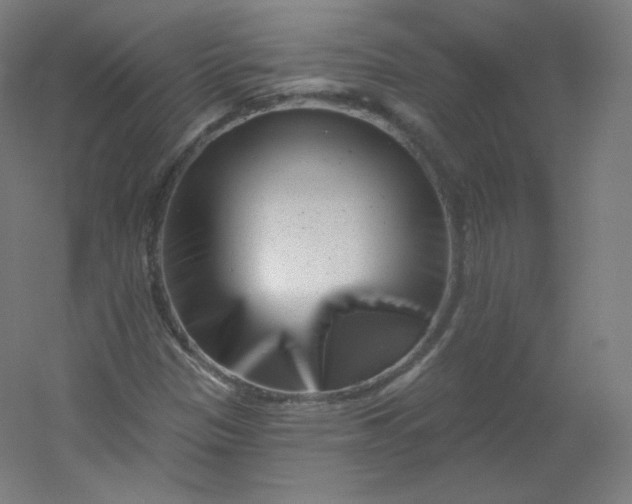 X0000054361305200508121503