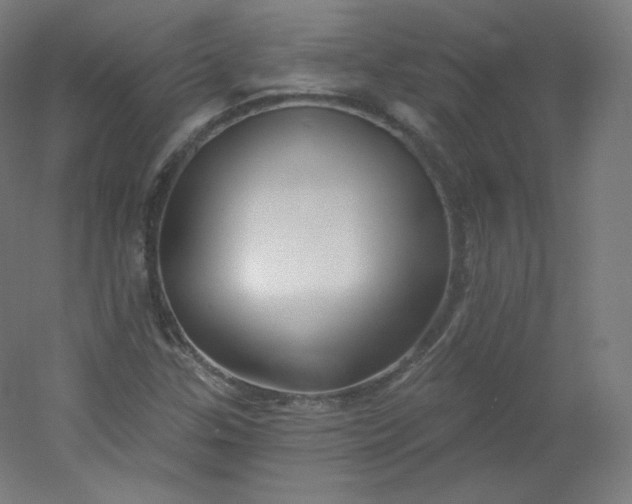 X0000054361307200508121503