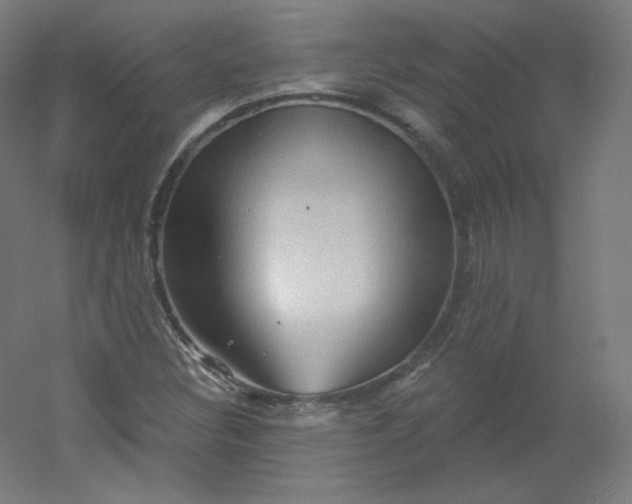 X0000054361308200508121503
