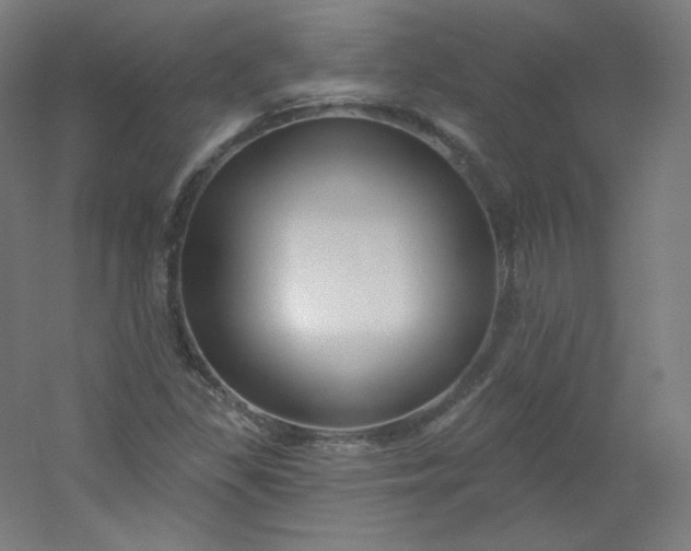 X0000054361309200508121503